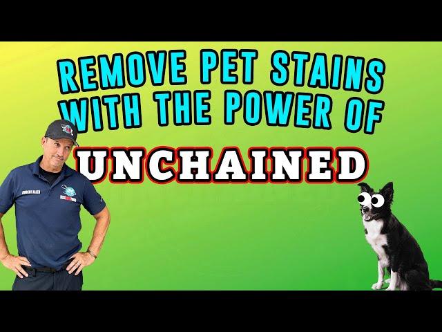 Say Goodbye To Pet Stains With Unchained: The Ultimate Pet Treatment