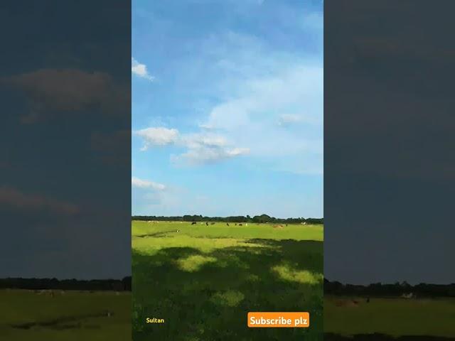 bd village nature