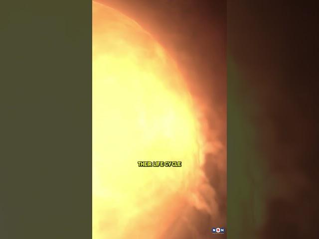 40+ Stars Seen 6.5 Billion Light-Years Away: Webb’s Epic Discovery!