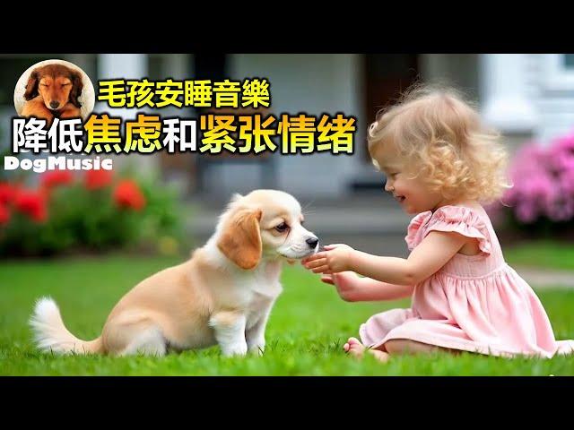 毛孩安睡音樂 | Puppy Sleep Music | RELAX MY DOG MUSIC! Relaxing Pet Music | 狗狗音樂 降低焦虑和紧张情绪  睡眠音乐 安抚放松你的狗狗