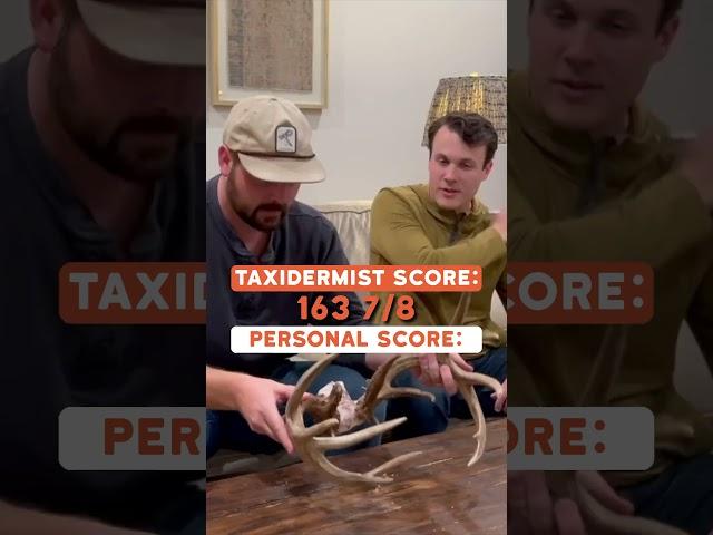 Scoring an Ozark Mountain Buck like a Taxidermist?