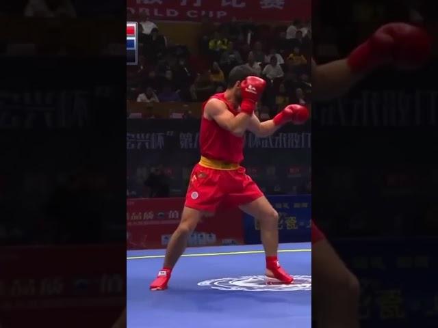 Sanda sanshou real fight highlights #sanda   #wushu #wushusanda #kungfu #mma #fight