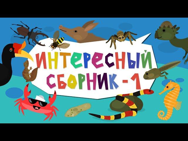 Капитан Краб: "Интересный сборник №1" Музыкальные мультики о животных.