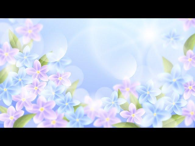 Flower Background Video Effects HD | 4K Animation Leaves Growth Animation Title Screen AA VFX