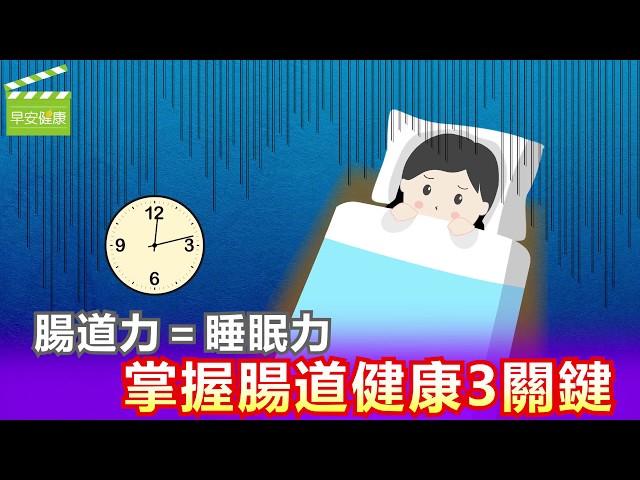 腸道力＝睡眠力，掌握腸道健康三關鍵【早安健康】