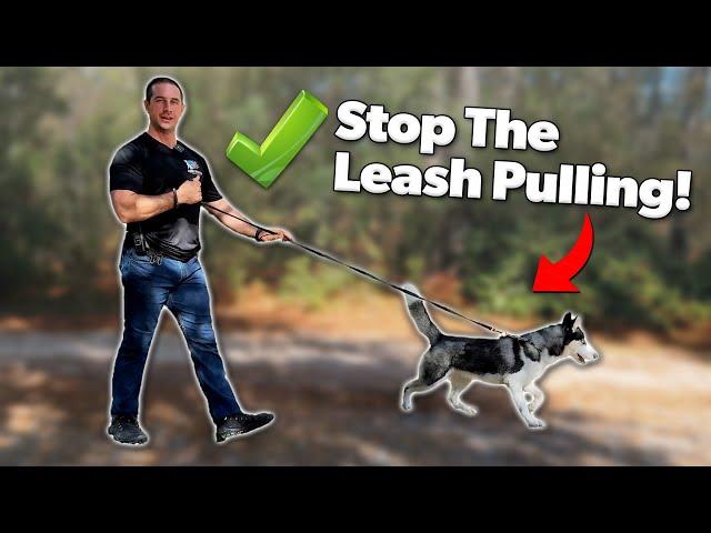 How to Stop Your Dog From Leash Pulling