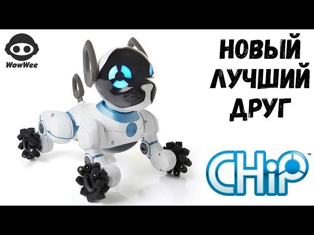 Знакомьтесь CHiP!