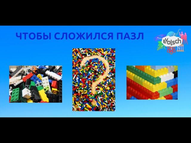 Чтобы сложился пазл. О проекте «Путешествие по Вселенной» на образовательной платформе ЭВОЛШ 12+.