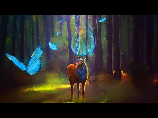 Enchanted Forest Music (528Hz) : Brings Positive Transformation | Mystical Forest Sounds