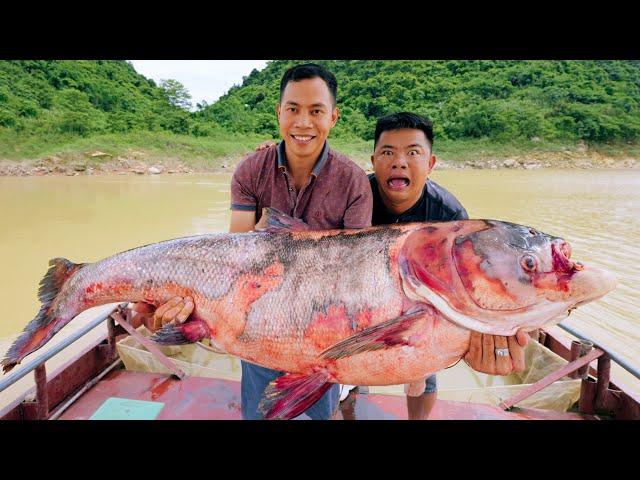 CATCHING GIANT FISH - Cooking 7 Delicious Dishes: Salad, Fried Fish Head, Grilled,... | SAPA TV