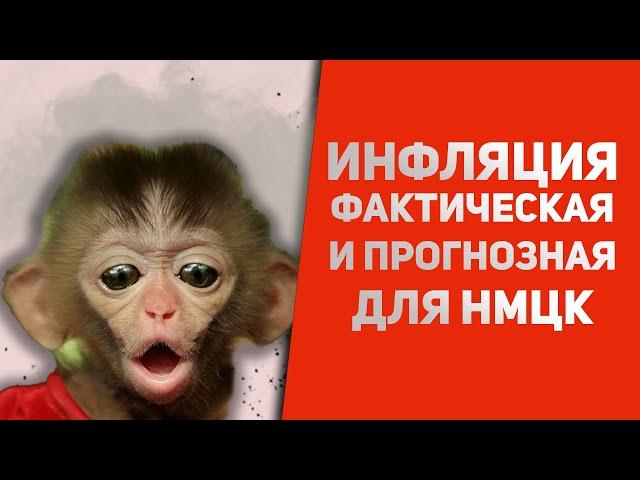 Как рассчитать ИНДЕКС прогнозной и фактической ИНФЛЯЦИИ для НМЦК? REGINA ZNAGOVAN