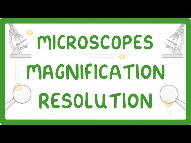 GCSE Biology - What is Microscopy?