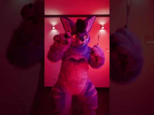 For #fursuitfriday a reminder: I am #cringe but I am free. #furry #fursuit #costume #furries