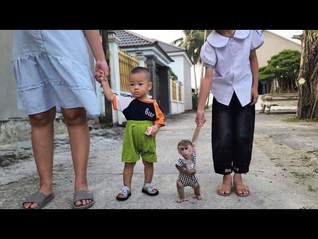 So cute  Monkey David walking with his family