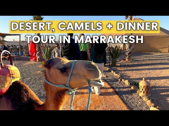 Worth the HYPE? Agafay Desert Sunset, Camel Ride, and Dinner Tour from Marrakesh, Morocco - Day trip