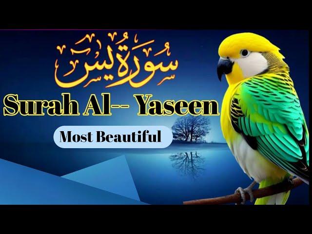 Surah Yasin (Yaseen) سورة يس | This Voice Will Relax Your HEART إن شاء الله | Zikrullah TV