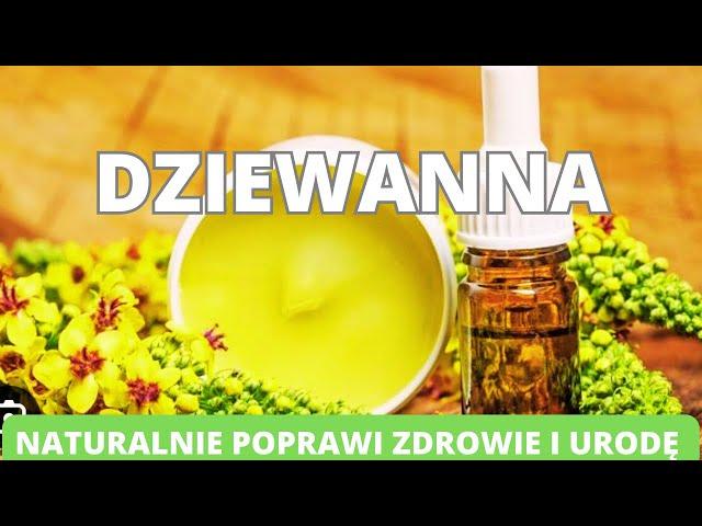 Dziewanna - naturalnie poprawi twoje zdrowie i urodę. Właściwości i zastosowanie.