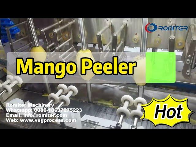 Automatic Mango Peeler Machine