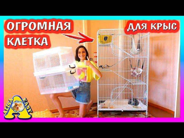 ОГРОМНАЯ КЛЕТКА ДЛЯ КРЫС / ЗООПОКУПКИ / РАСПАКОВКА / Alisa Easy Pets