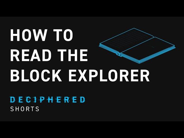 How to Read the Block Explorer