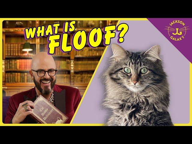 What is FLOOF? | Cat Daddy Dictionary