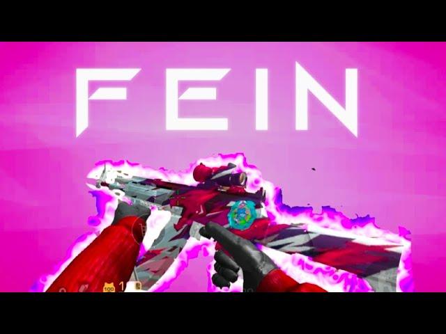 Fein (Standoff 2 montage) montages