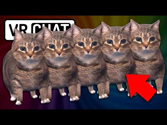 U II A IO UI A I O CAT X10 【VRChat funny Highlights】 #3