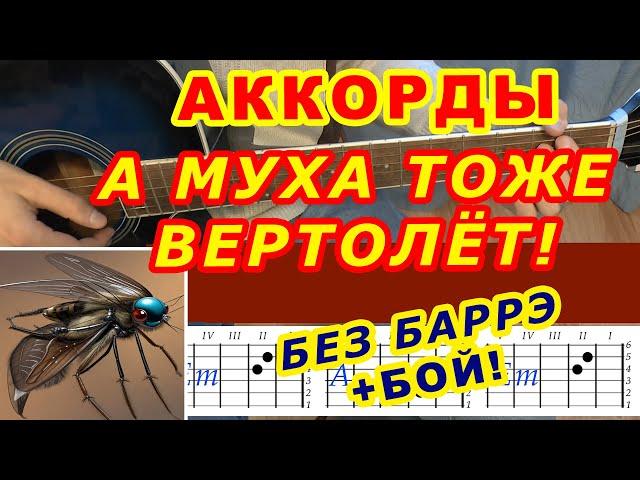 А МУХА ТОЖЕ ВЕРТОЛЕТ Аккорды  БЕЗ БАРРЭ  Разбор песни на гитаре  Гитарный бой для начинающих