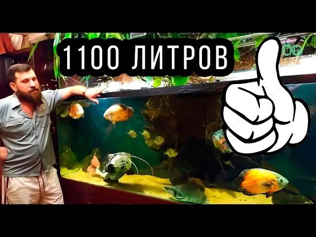 COOLEST Aquarium ALEXEI! 1 PART