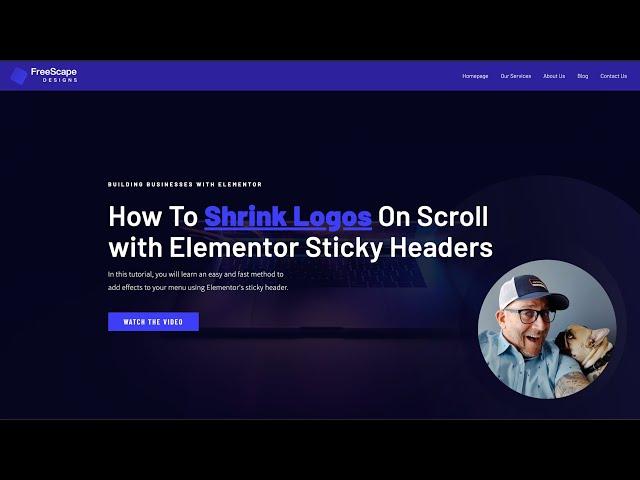 How To Make a Logo Shrink in Elementor's Sticky Header