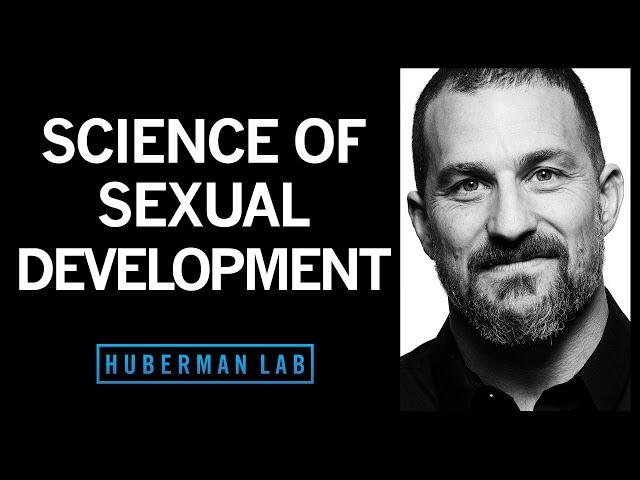 How Hormones Shape Sexual Development