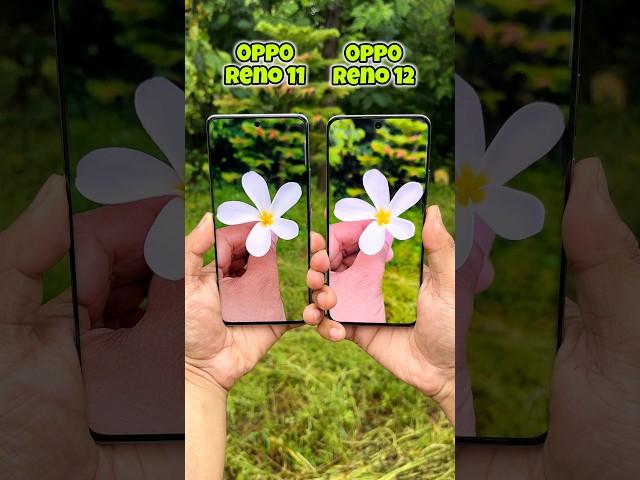 Oppo Reno 11 5g vs Oppo Reno 12 5g Camera Test #opporeno11 #opporeno12 #oppo #shorts