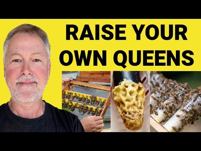 Beekeeping | Raise & Hold Your Own Queens In Limited Space