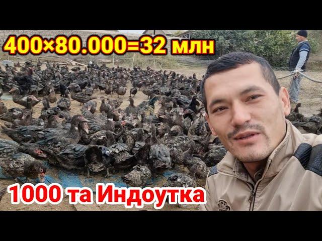 Мана уша бизнес 1000та Индоутка бизнеси 400таси 32 млн