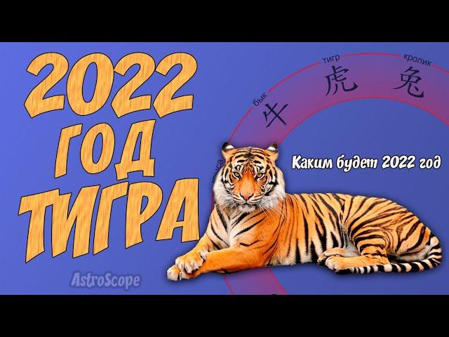 Год Тигра 2022: китайский гороскоп на 2022 год Тигра