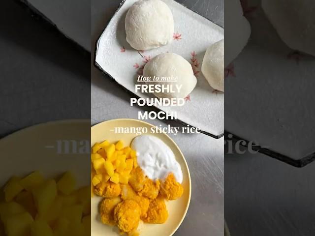 Freshly Pounded Mochi Filled with Mango Sticky Rice |  From Scratch