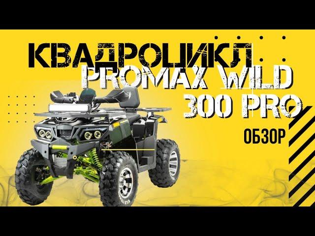 Полный ОБЗОР квадроцикла PROMAX WILD 300 PRO от сети мотоцентров X-MOTORS