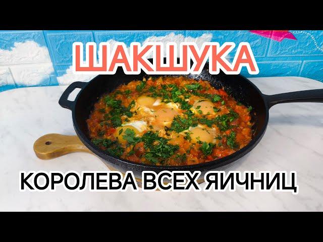 ШАКШУКА - Королева Всех Яичниц!!!