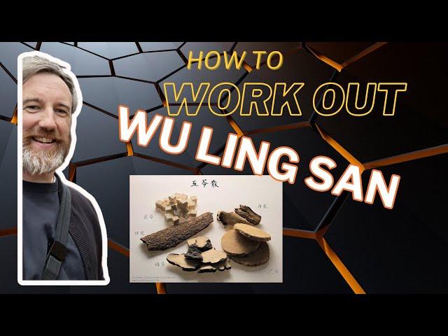 Wu Ling San! How to use it!?
