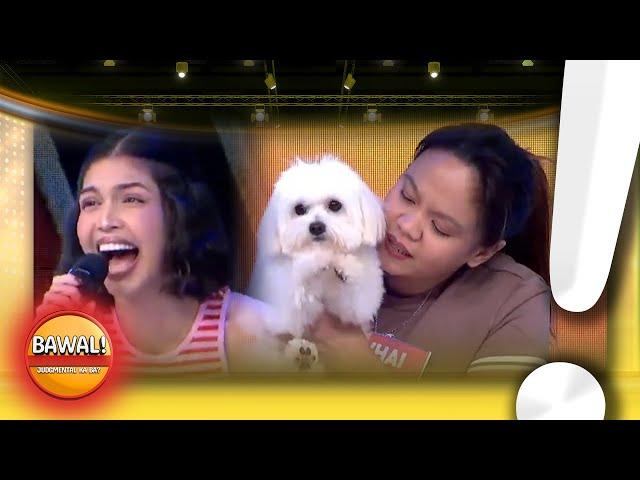 Famous furbabies with their furparents!  | BAWAL! JUDGMENTAL KA BA? | EAT BULAGA | Nov. 06, 2024