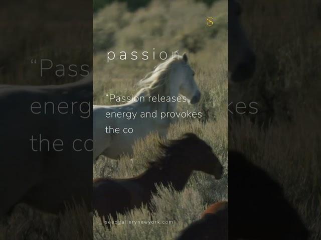 Joy Provoking Passion | Seed Gallery #passion #art #artist #joy #knowlege #inspiration #life #shorts