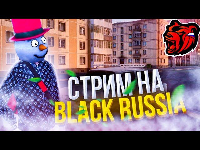 АВТОУГОНЩИК в ПРЯМОМ ЭФИРЕ на БЛЕК РАША #crmp #blackrussia