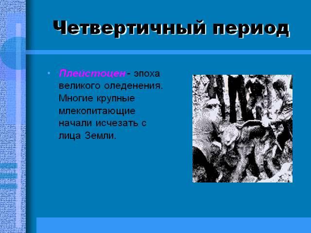 Презентация Периоды развития жизни в Кайнозойскую эру