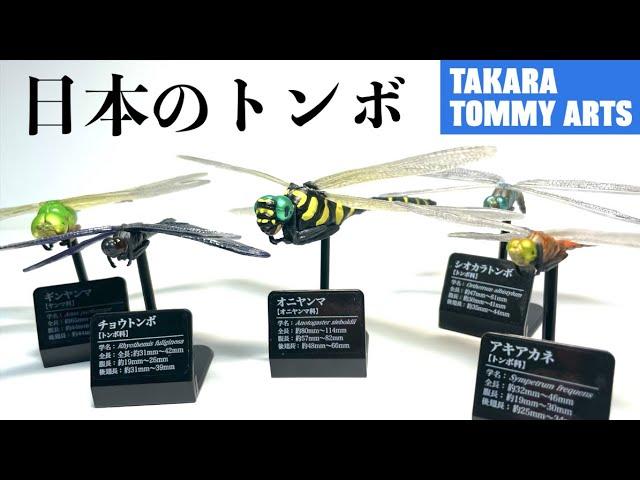 Japan's latest dragonfly figure is amazing!!