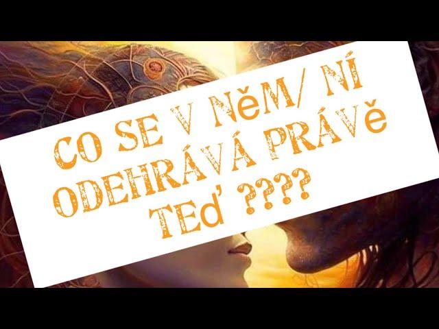 Co se v něm/ v ní odehrává právě teď ?! 🫡🫣🫠