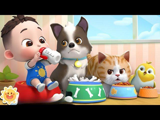 My pet song | my kitty and puppy | Oly Cartoon TV animal songs | kids songs & nursery rhymes