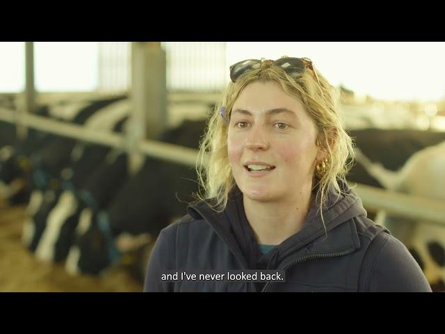 Dairy Farming