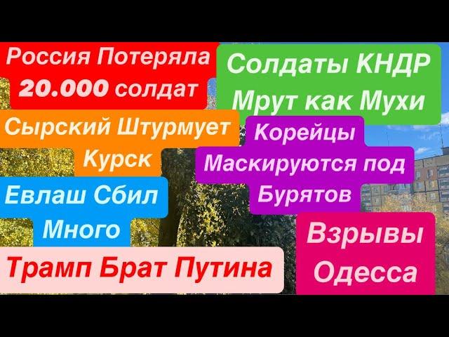 ДнепрВыборы в СШАПутин ДрожитОгромные ПотериВзрывы ОдессаПрилеты Ракет Днепр 6 ноября 2024 г.