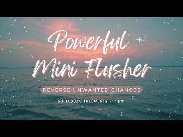  Powerful Flusher ~ Reverse Unwanted Changes | Blockage Removal | 417 Hz ~ Relaxing Ambient Music