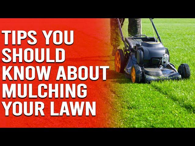 Useful Tips You Should Know About Mulching Your Lawn